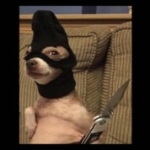 Zdjęcie profilowe PIESEŁ