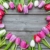 Zdjęcie profilowe Tulipan