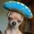 Zdjęcie profilowe malwinap